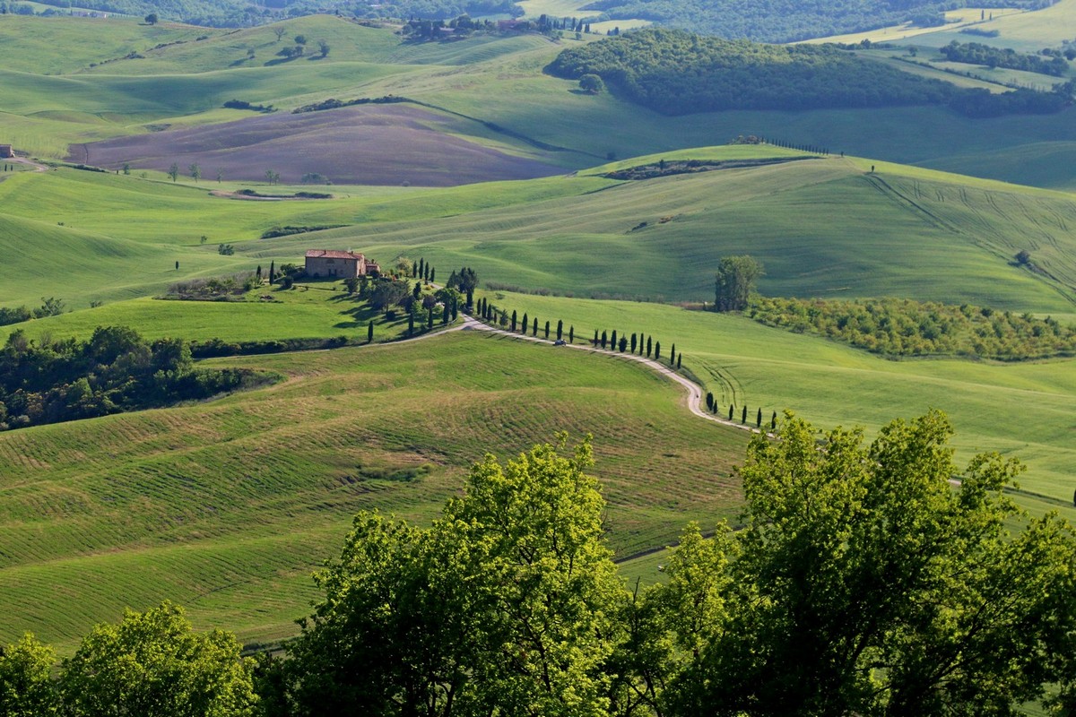 Okolice Pienzy, (fot. T. Liptak) Okolice Pienzy, (fot. T. Liptak)