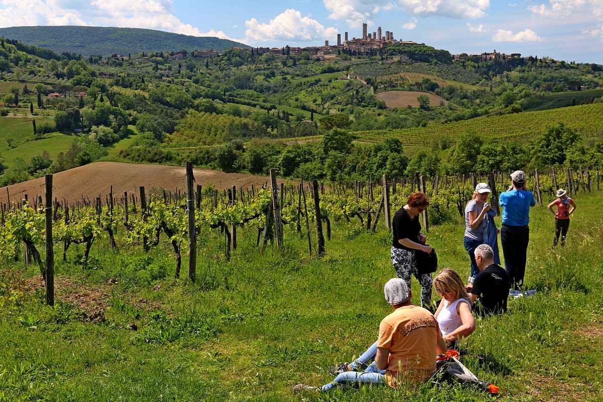 Jest też czas na piknik, (fot. T. Liptak Jest też czas na piknik, (fot. T. Liptak