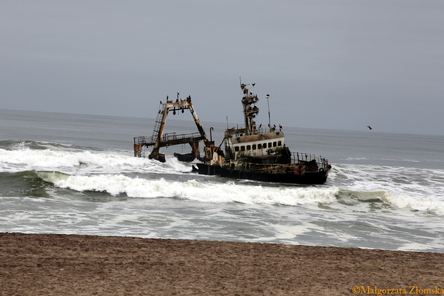Wybrzeże Szkieletów (Małgorzata Złomska)