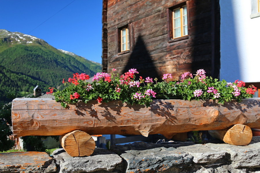 Przy alpejskim schronisku… (fot. Tomasz Liptak) Przy alpejskim schronisku… (fot. Tomasz Liptak)