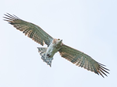 fot. Jan Rapczyński