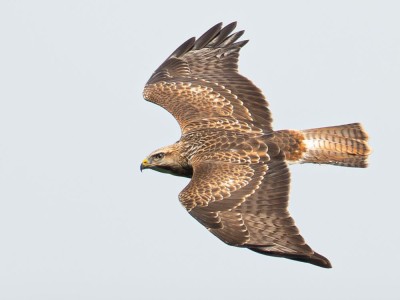 fot. Jan Rapczyński