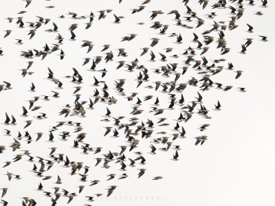 fot. Jan Rapczyński