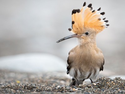 fot. Jan Rapczyński