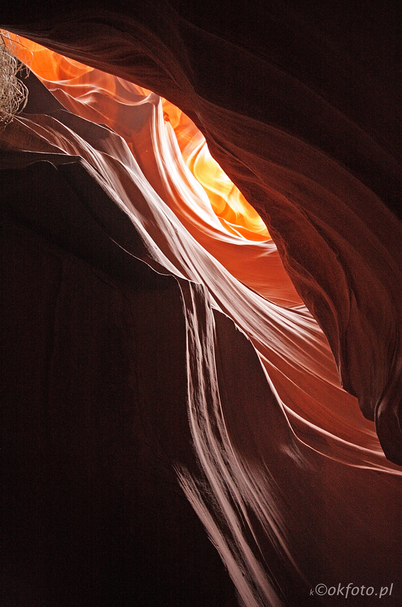 Fot. S.Adamczak (okfoto.pl)