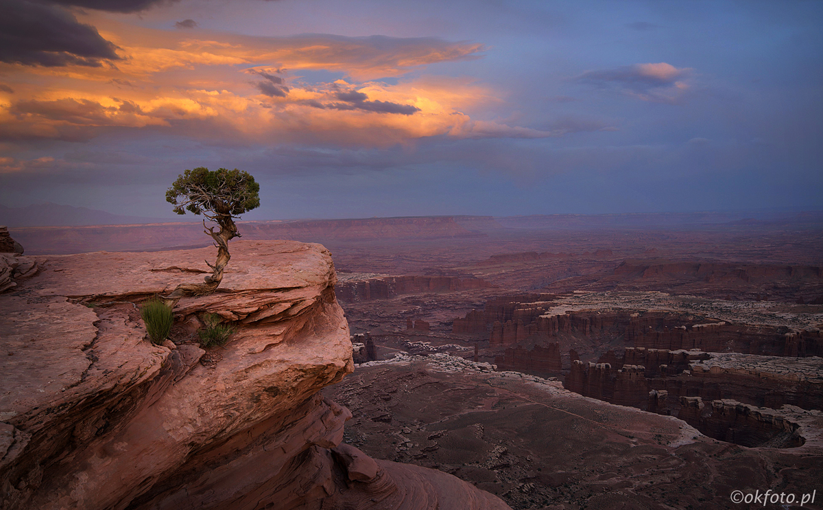 Fot. S.Adamczak (okfoto.pl)