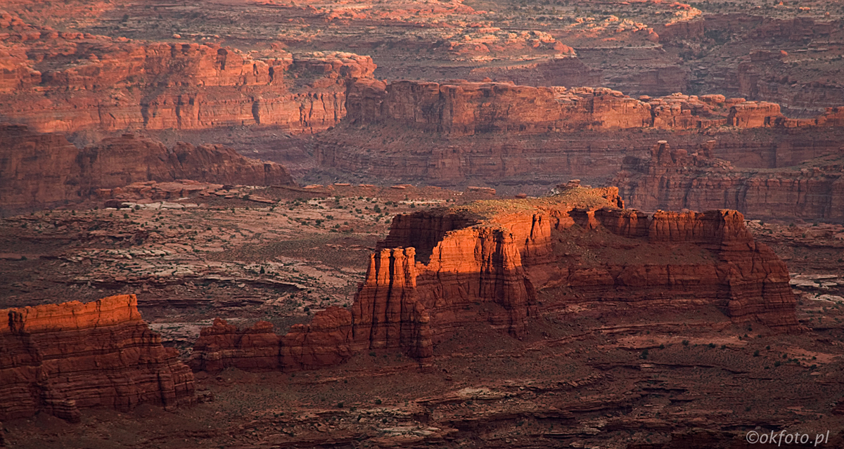 Fot. S.Adamczak (okfoto.pl)