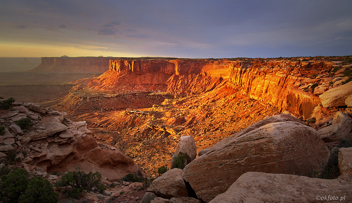 Fot. S.Adamczak (okfoto.pl)