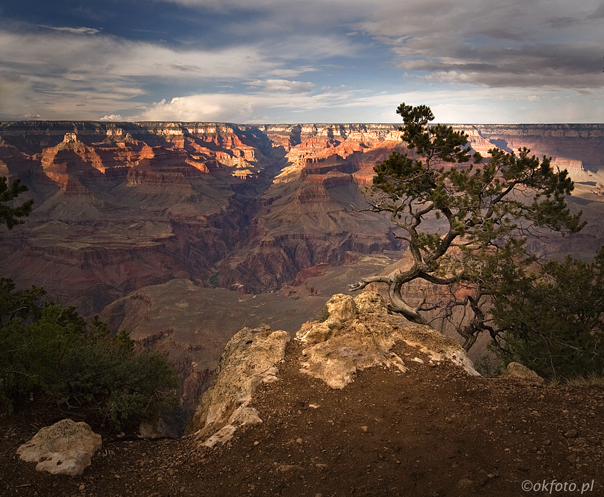 Fot. S.Adamczak (okfoto.pl)