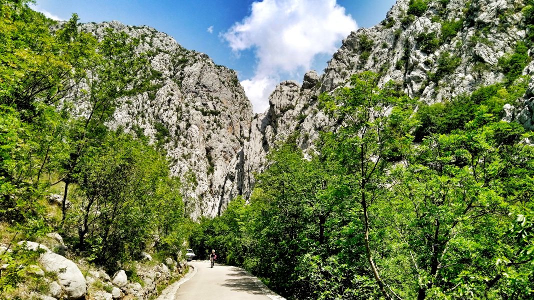 W wąwozie Wielkiej Paklenicy (fot. Paweł Klimek)