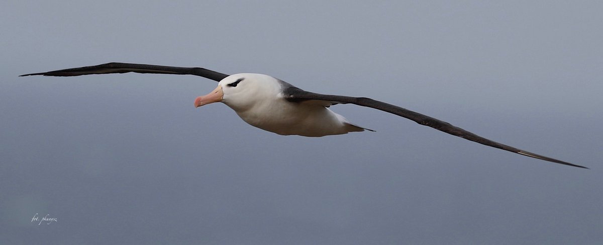 Fot. P. Kunysz Fot. P. Kunysz