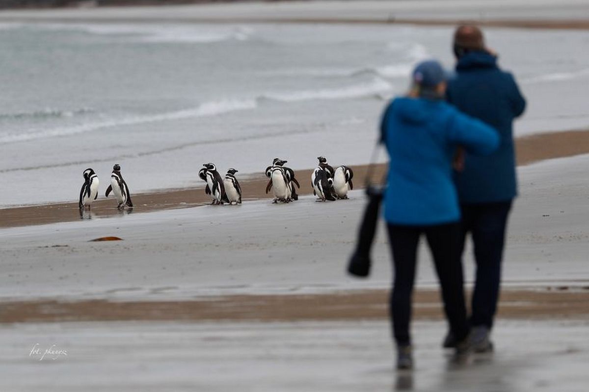 Fot. P. Kunysz Fot. P. Kunysz