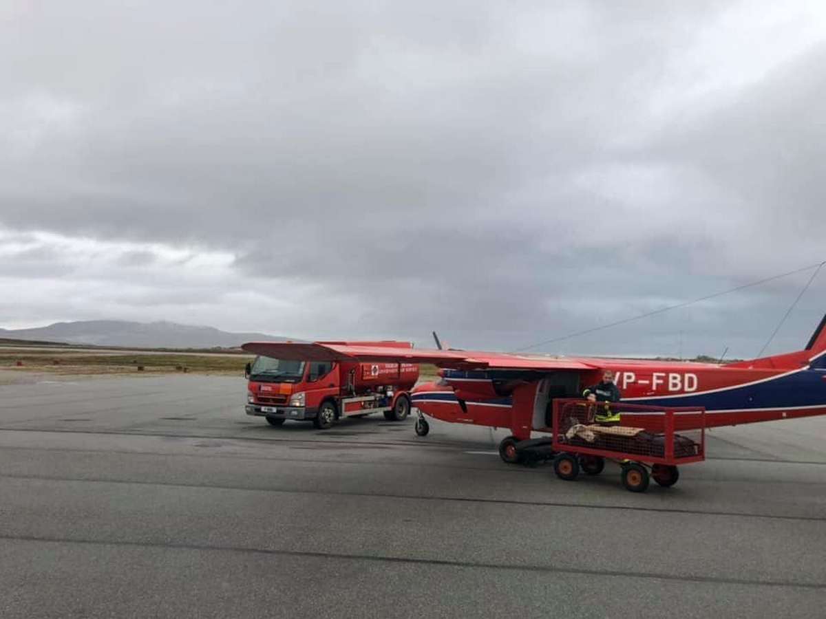 Fot. P. Kunysz Fot. P. Kunysz