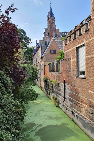 Mechelen, fot. Mateusz Kołakowski