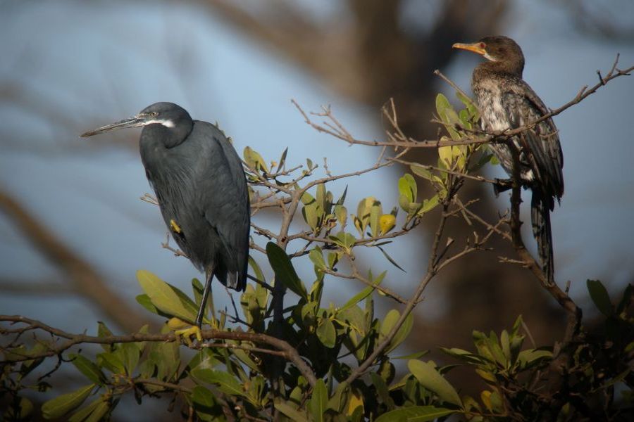 fot. Przemek Kunysz fot. Przemek Kunysz