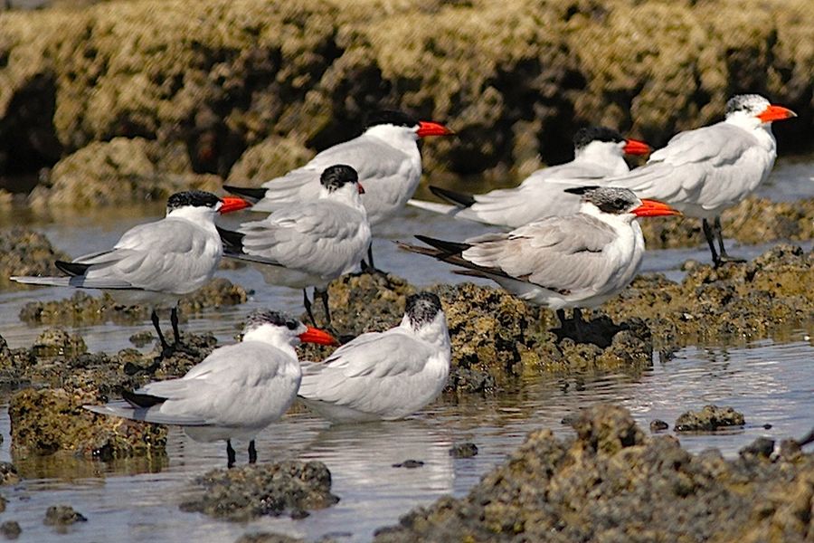 fot. Przemek Kunysz fot. Przemek Kunysz