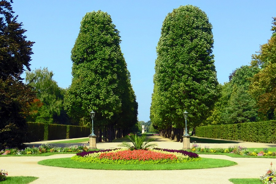 Ogrody pałacu Pillnitz