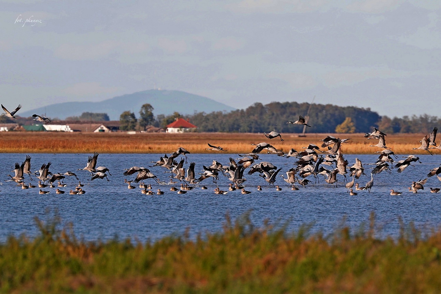 fot. P. Kunysz fot. P. Kunysz