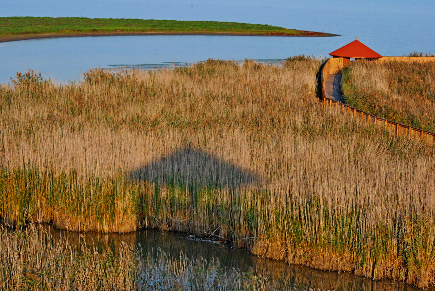 fot. P. Kunysz fot. P. Kunysz