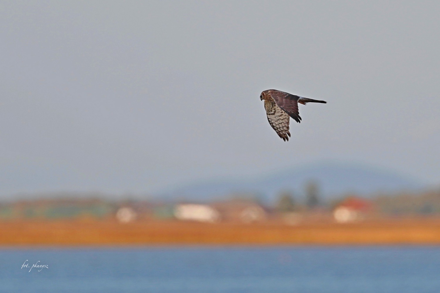 fot. P. Kunysz fot. P. Kunysz
