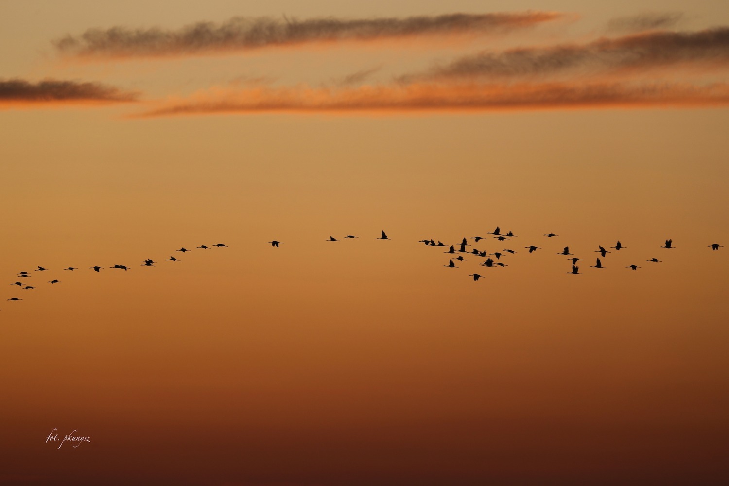 fot. P. Kunysz fot. P. Kunysz