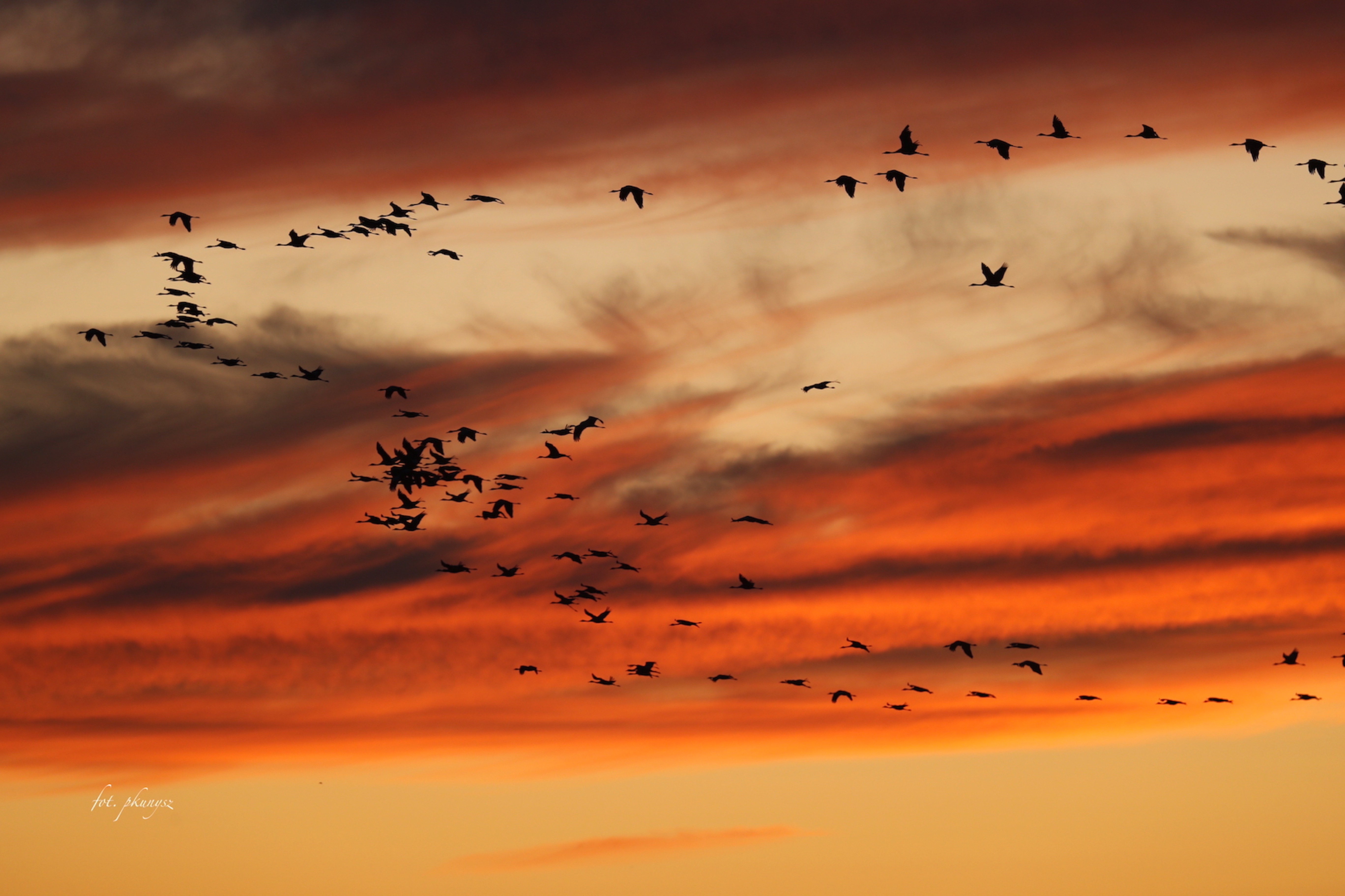 fot. P. Kunysz fot. P. Kunysz