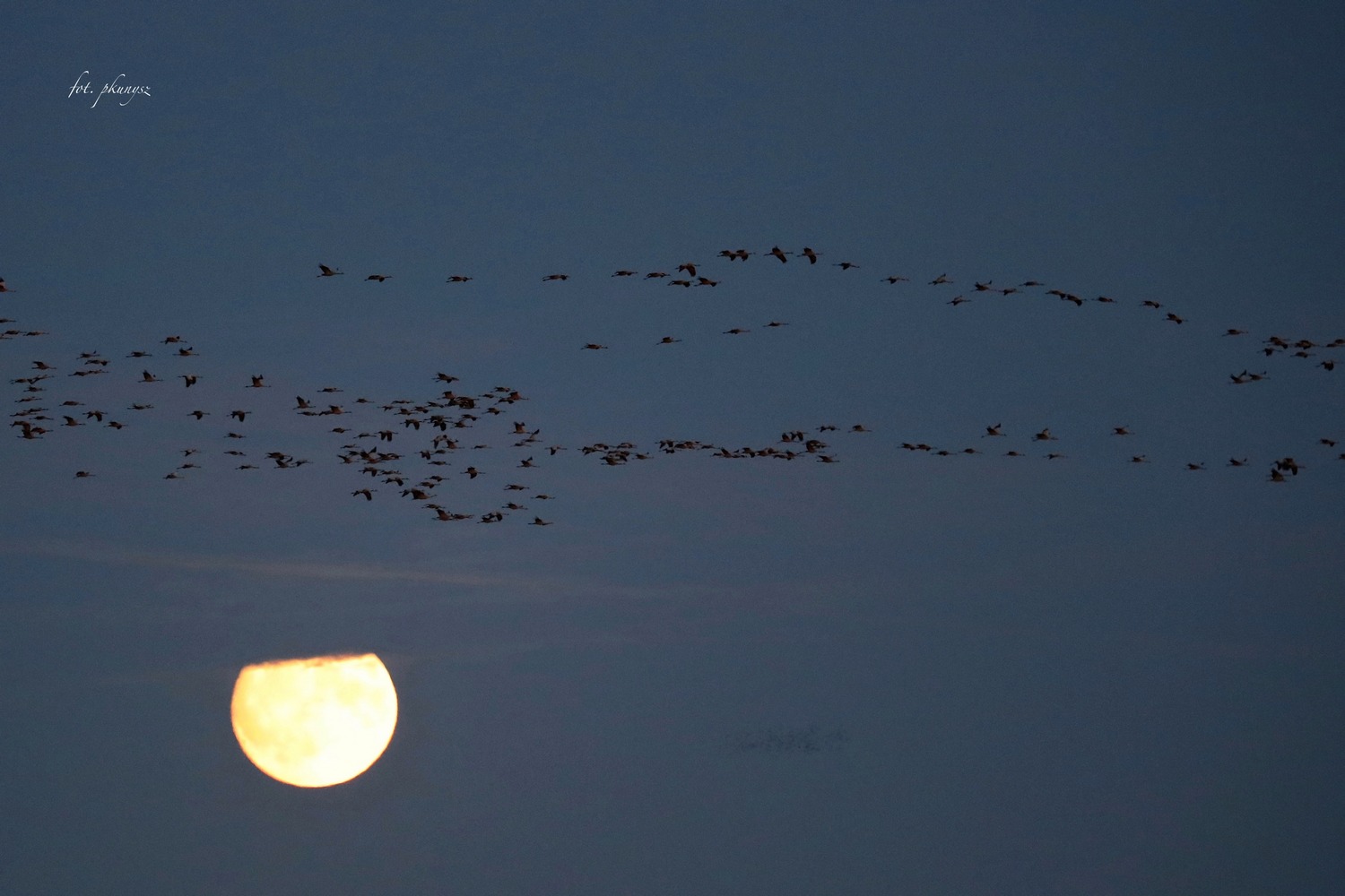 fot. P. Kunysz fot. P. Kunysz
