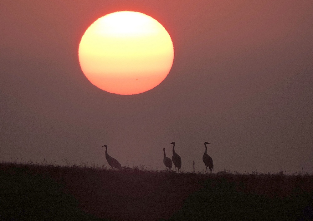 fot. K. Świderska fot. K. Świderska