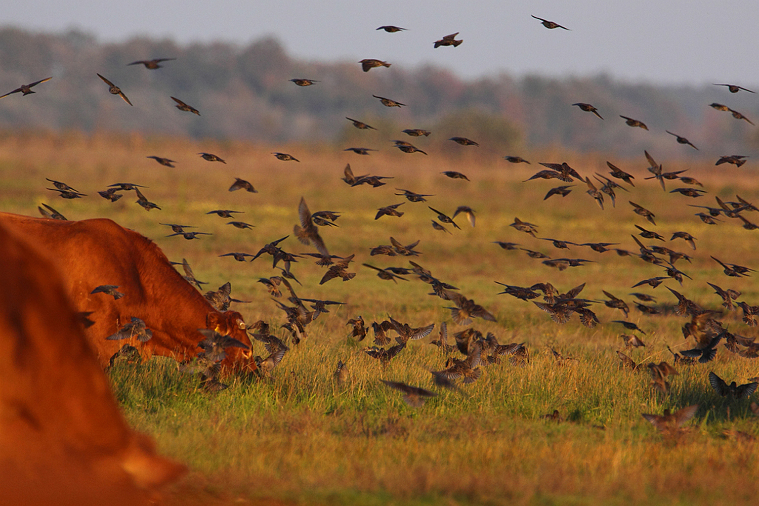 fot. P. Kunysz fot. P. Kunysz