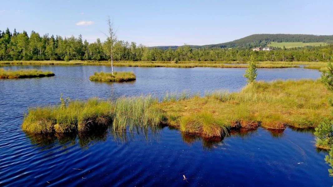 Torfowisko Chałupska Slat – prawie jak na Syberii… (fot. Paweł Klimek)