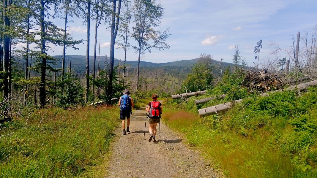 Wędrując przez Szumawę (fot. Paweł Klimek)