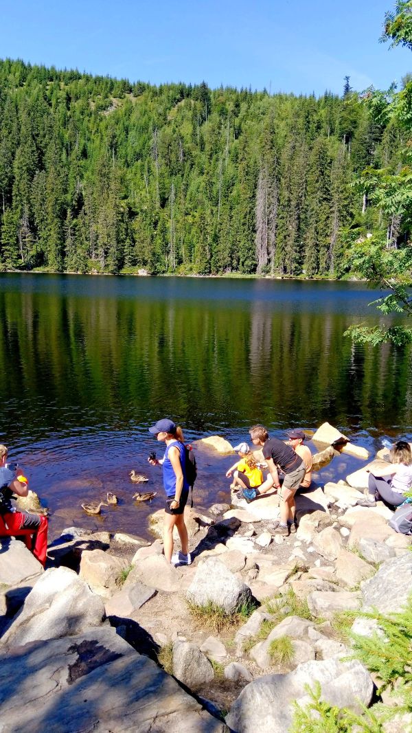 Nad jeziorem Prasilskim (fot. Paweł Klimek)