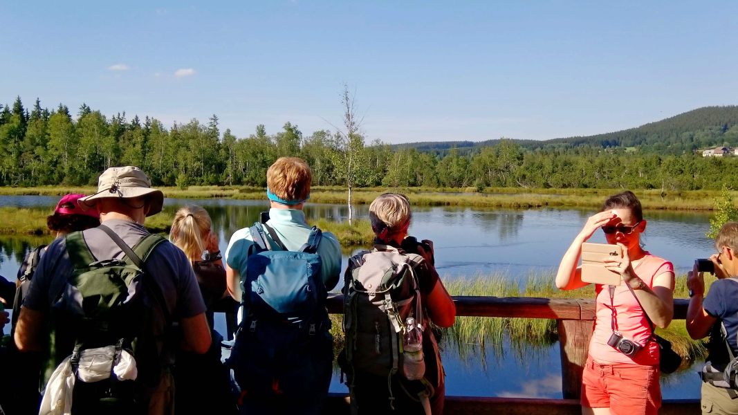 Torfowiska Szumowy (fot. Paweł Klimek)