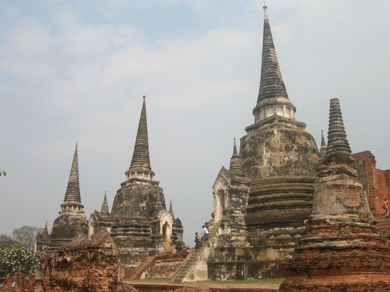 fot. Darek Dąbrowski fot. Darek Dąbrowski