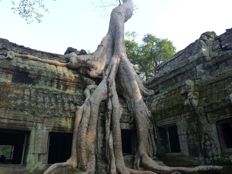 fot. Darek Dąbrowski fot. Darek Dąbrowski