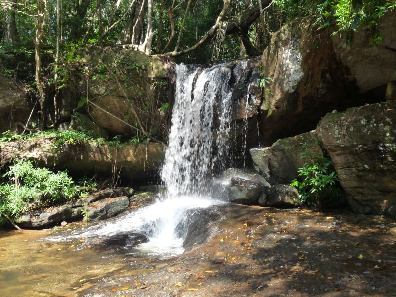 fot. Darek Dąbrowski fot. Darek Dąbrowski