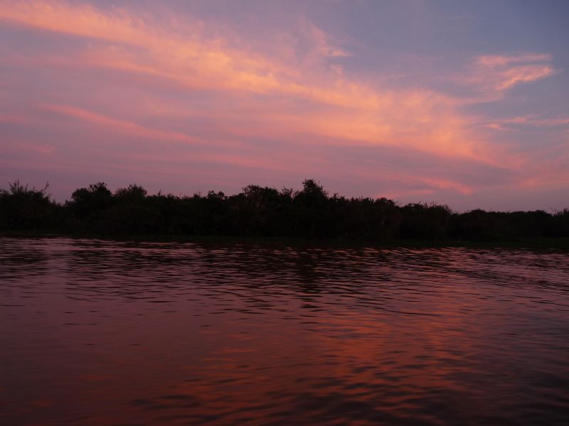 fot. Darek Dąbrowski fot. Darek Dąbrowski