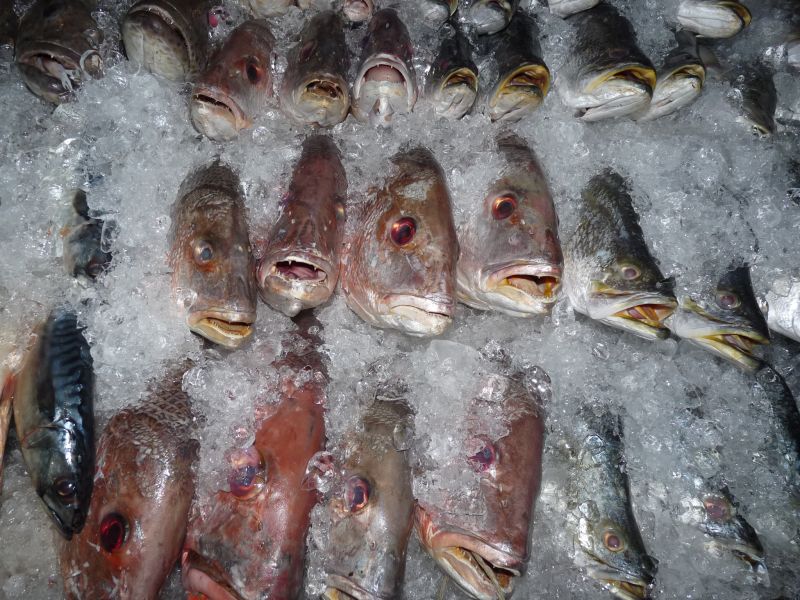 fot. Darek Dąbrowski fot. Darek Dąbrowski