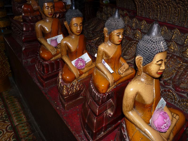 fot. Darek Dąbrowski fot. Darek Dąbrowski