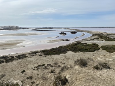 fot. Michał Skokowski 