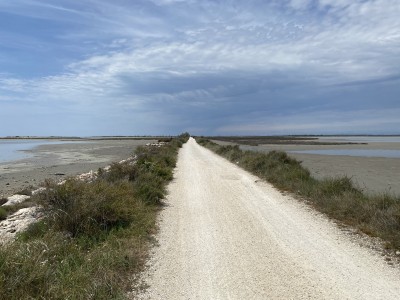 fot. Michał Skokowski 