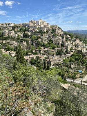 fot. Michał Skokowski 