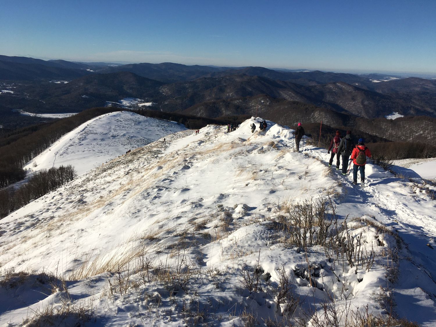 Zima w Bieszczadach 2022 (fot. Paweł Klimek) Zima w Bieszczadach 2022 (fot. Paweł Klimek)