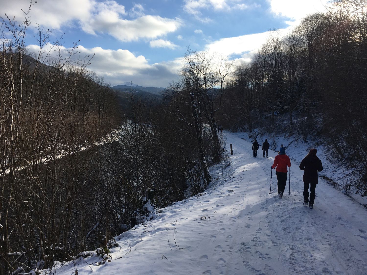 Zima w Bieszczadach 2022 (fot. Paweł Klimek) Zima w Bieszczadach 2022 (fot. Paweł Klimek)