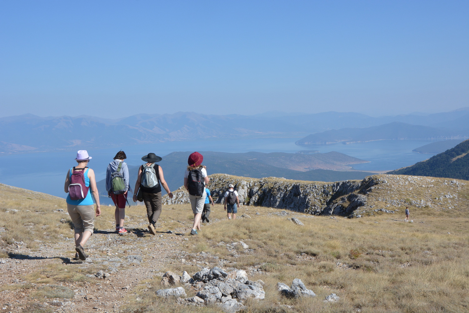 fot. Mateusz Tomaszczyk fot. Mateusz Tomaszczyk