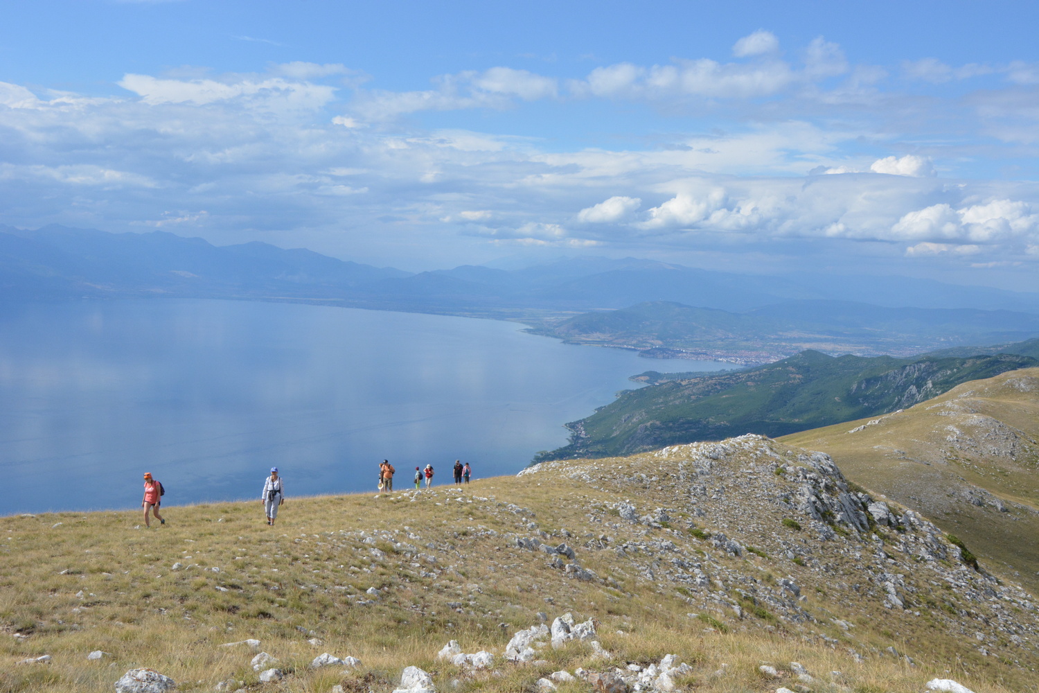 fot. Mateusz Tomaszczyk fot. Mateusz Tomaszczyk