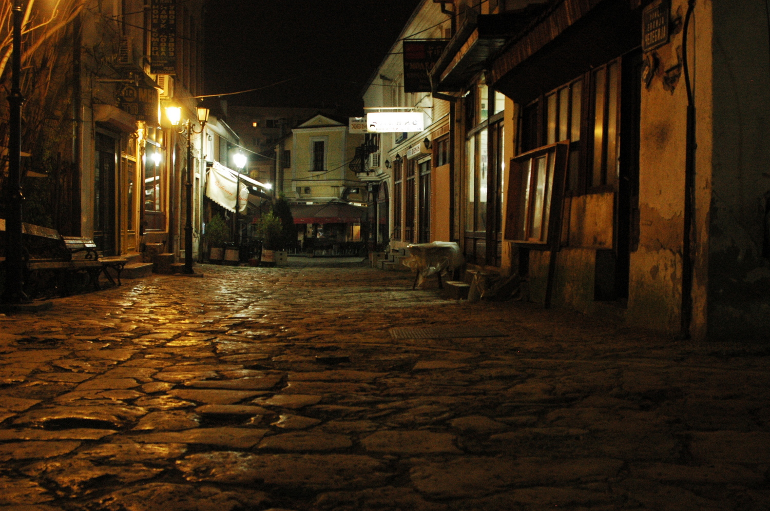 fot. Mateusz Tomaszczyk fot. Mateusz Tomaszczyk