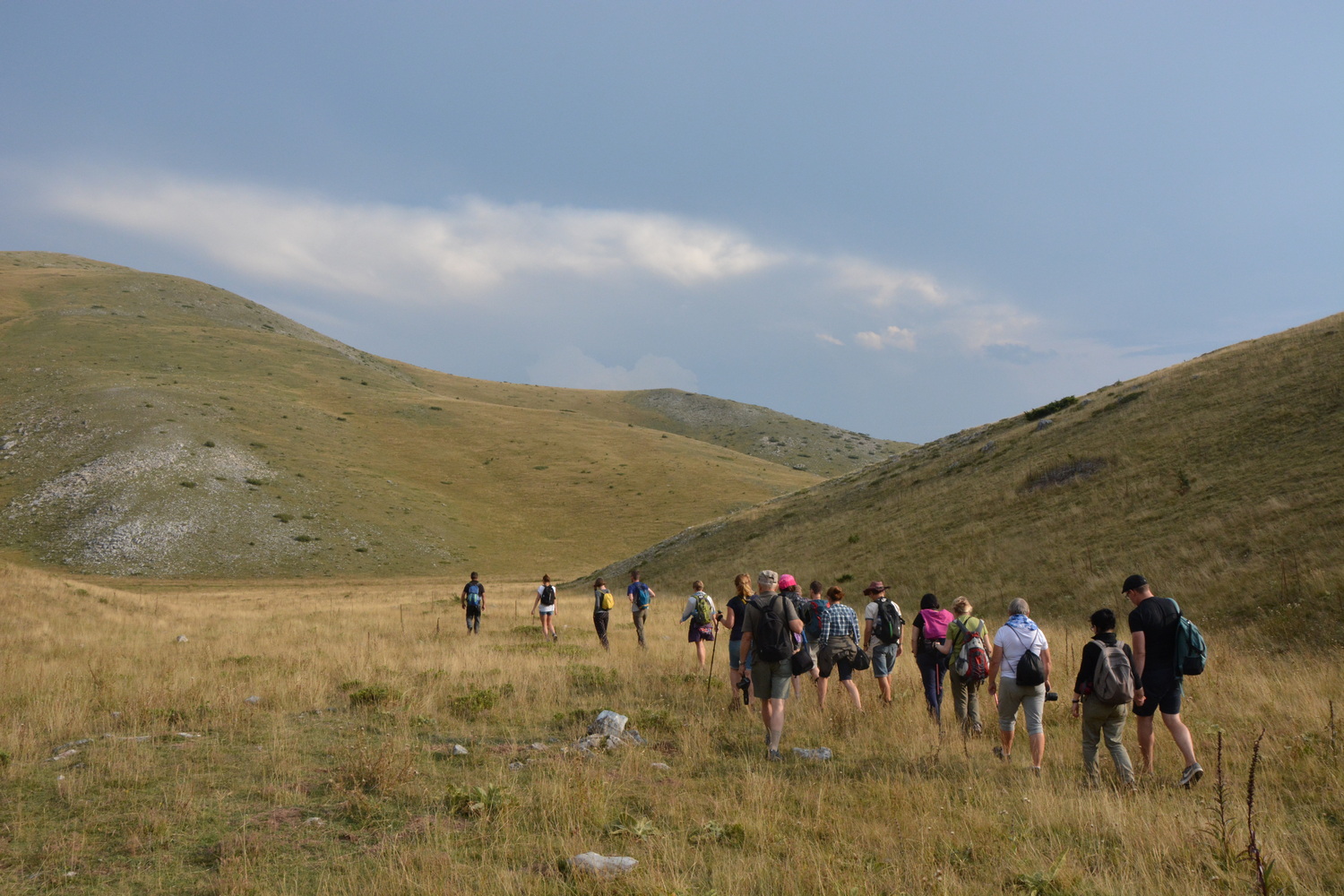 fot. Mateusz Tomaszczyk fot. Mateusz Tomaszczyk