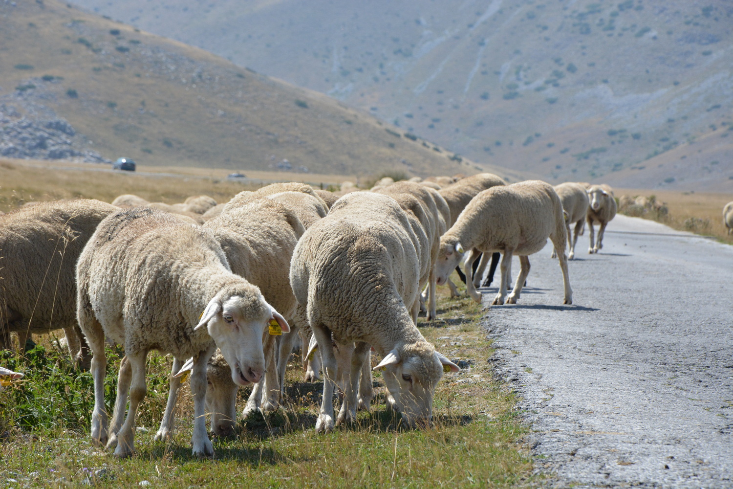 fot. Mateusz Tomaszczyk fot. Mateusz Tomaszczyk