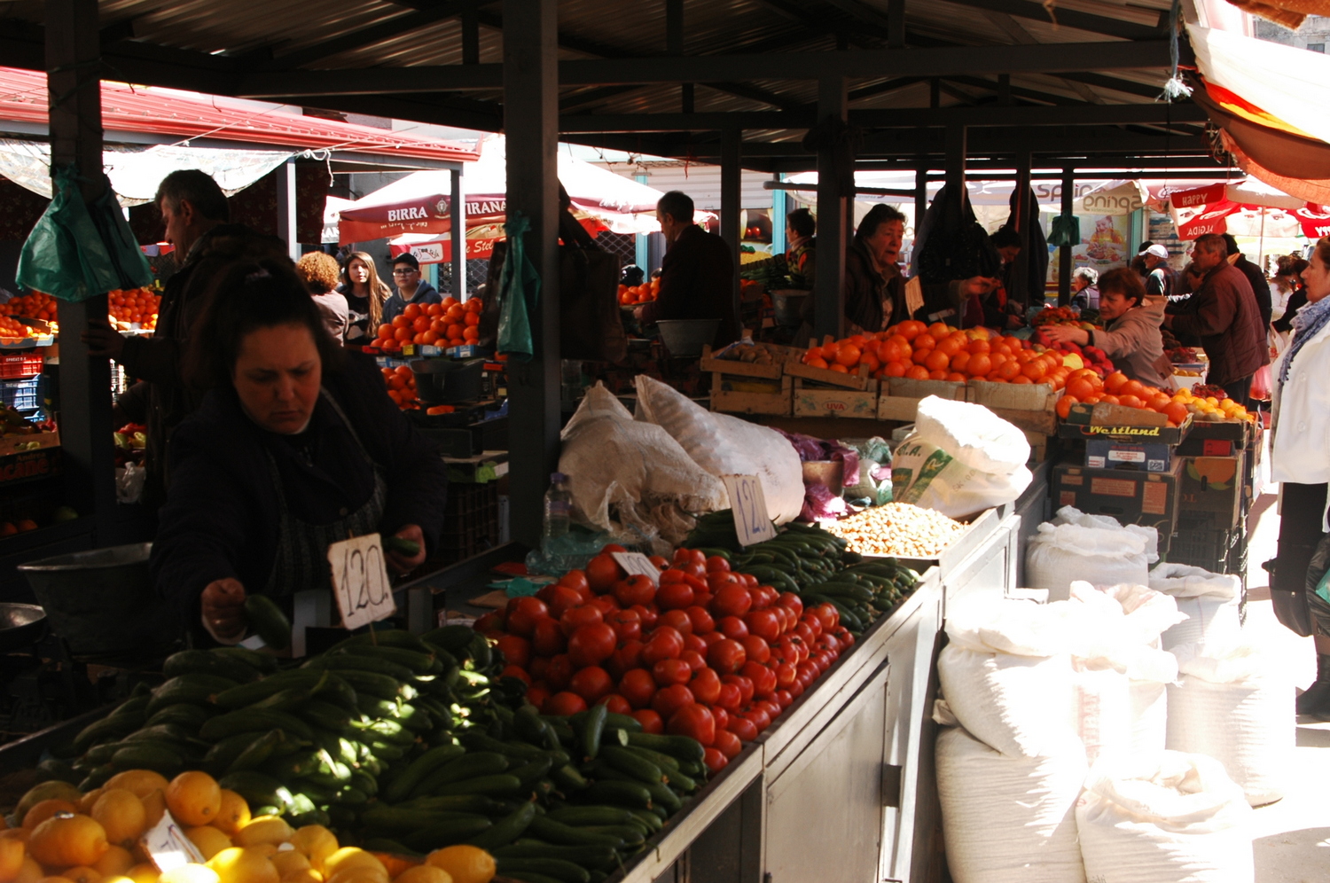 fot. Mateusz Tomaszczyk fot. Mateusz Tomaszczyk